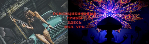 бошки Алзамай
