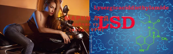 PSILOCYBIN Алексин