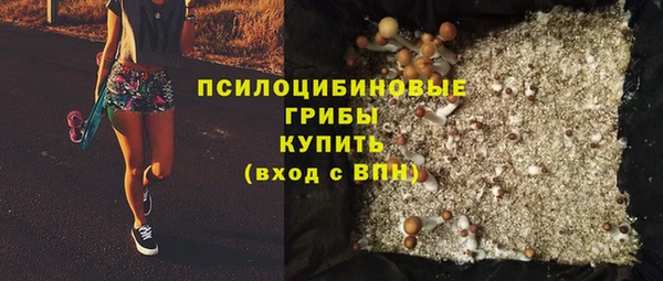 бошки Алзамай
