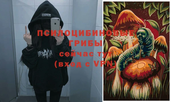 PSILOCYBIN Алексин