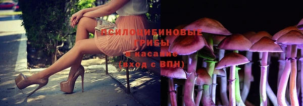 PSILOCYBIN Алексин